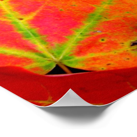 Der farbenfrohe Herbst lässt nach. Poster (Ecke)