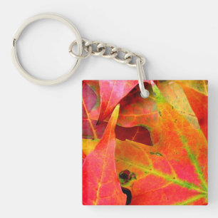 Der farbenfrohe Herbst lässt nach. Schlüsselanhänger