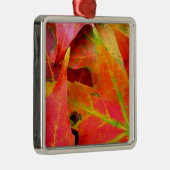 Der farbenfrohe Herbst lässt nach. Silbernes Ornament (Rechts)