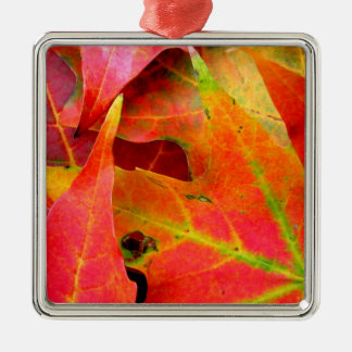 Der farbenfrohe Herbst lässt nach. Silbernes Ornament