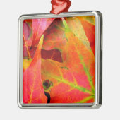 Der farbenfrohe Herbst lässt nach. Silbernes Ornament (Links)