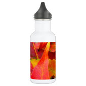 Der farbenfrohe Herbst lässt nach. Trinkflasche (Links)