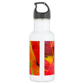 Der farbenfrohe Herbst lässt nach. Trinkflasche (Rückseite)
