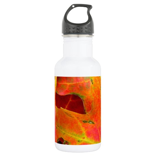 Der farbenfrohe Herbst lässt nach. Trinkflasche (Vorderseite)