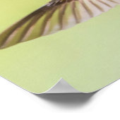 Der farbenfrohe Hummingbird fliegt zu einer Blume Poster (Ecke)