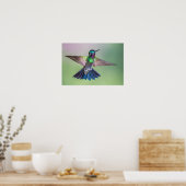 Der farbenfrohe Hummingbird im Flug Poster (Küche)