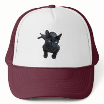 Der faszinierende Appell an die schwarze Katze