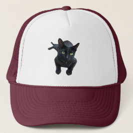 Der faszinierende Appell an die schwarze Katze Truckerkappe