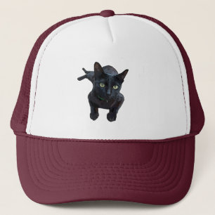 Der faszinierende Appell an die schwarze Katze Truckerkappe