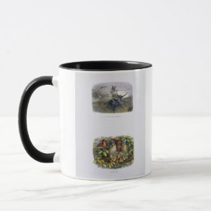 Der feenhaften Bote der Königin und Elf und Eulen Tasse