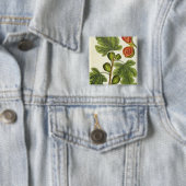 Der Feigenbaum, überziehen 125 von "einem Button (Beispiel)