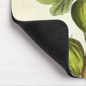 Der Feigenbaum, überziehen 125 von "einem Mousepad (Ecke)