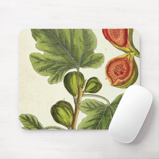 Der Feigenbaum, überziehen 125 von "einem Mousepad (Mit Mouse)