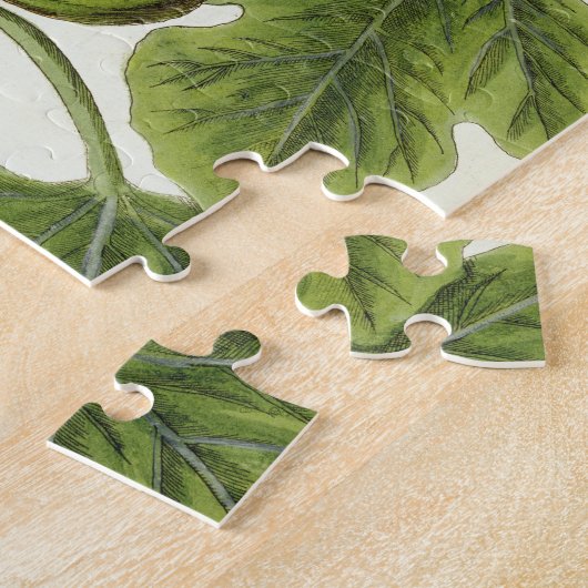 Der Feigenbaum, überziehen 125 von "einem Puzzle (Seite)