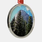 Der Felsen Silbernes Ornament (Rechts)