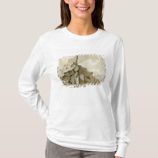 Der Felsen von Quang-Yin T-Shirt (Vorderseite)