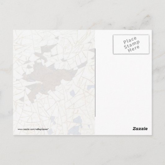 Der Fender Craze Postkarte (Rückseite)