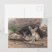 Der Fennekfuchs von Joseph Wolf Postkarte (Vorne/Hinten)