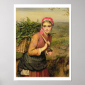 Der Fern Gatherer Poster (Vorne)