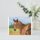 Der Film Postkarte (Stehend Vorderseite)