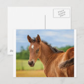 Der Film Postkarte (Vorne/Hinten)