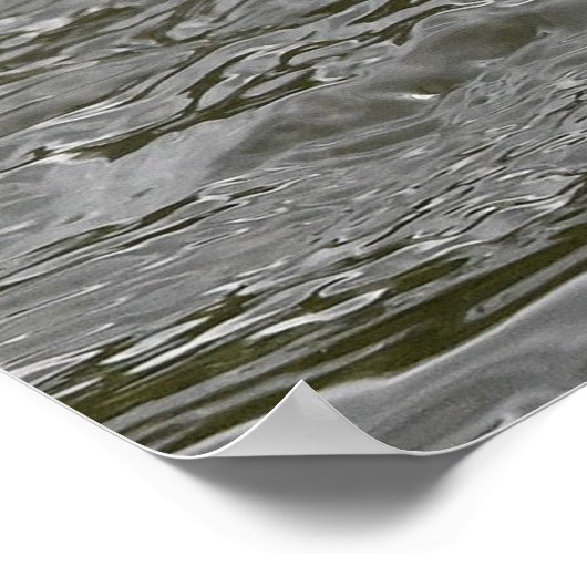 Der Fisch fängt den Köder Poster (Ecke)