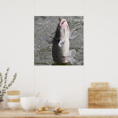 Der Fisch fängt den Köder Poster (Küche)