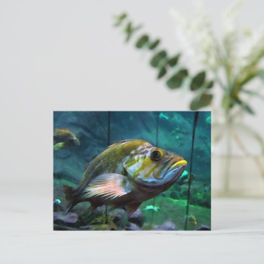Der Fisch Postkarte (Stehend Vorderseite)