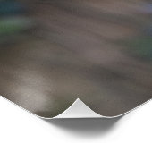 Der Fischer Poster (Ecke)