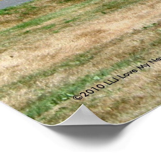 Der Fischschrei Poster (Ecke)