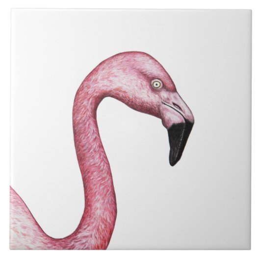 Der Flamingo Fliese (Vorderseite)