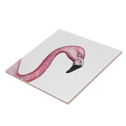 Der Flamingo Fliese (Seite)