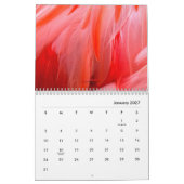 Der Flamingo - Kalender 2018 (Jan 2027)