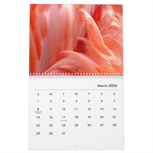 Der Flamingo - Kalender 2018 (Mär 2026)