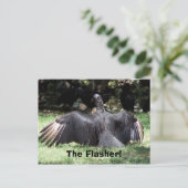 Der Flasher! Postkarte (Stehend Vorderseite)