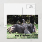 Der Flasher! Postkarte (Vorne/Hinten)