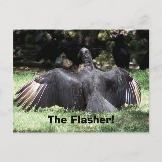 Der Flasher! Postkarte (Vorderseite)