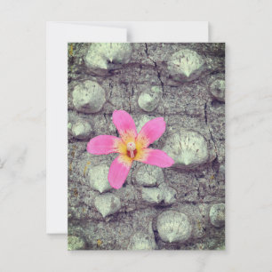Der flatternde Seidenbaum. Ceiba speciosa. Poster Postkarte