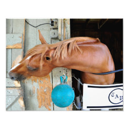 Der Flaxen "All Inclusive" Fotodruck