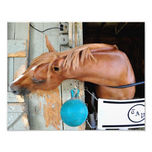 Der Flaxen "All Inclusive" Fotodruck (Vorne)