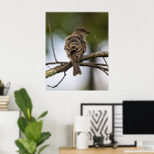 Der Fliegenschnäpper Poster (Heimbüro)