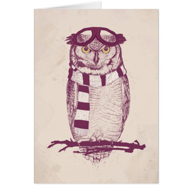 Der Flieger (Vorne)