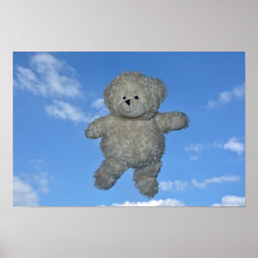 Der flieger Teddybär Poster (Vorne)