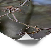 Der Flug der blauen Meise Poster (Ecke)