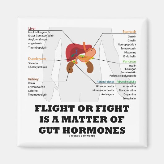 Der Flug oder der Kampf ist eine Frage von Hormone Magnet (Vorne)