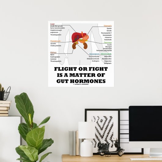 Der Flug oder der Kampf ist eine Frage von Hormone Poster (Heimbüro)