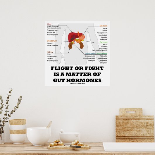 Der Flug oder der Kampf ist eine Frage von Hormone Poster (Küche)