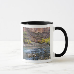 Der Fluss der Jungfrau im Herbst im Nationalpark Z Tasse