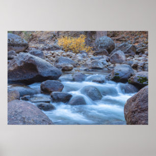 Der Fluss Rocky River Poster