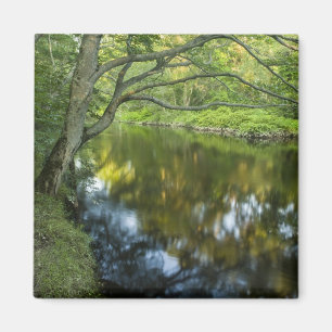 Der Fluss Taunton in Bridgewater, Magnet